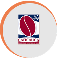 caficauca.png